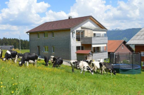 Ferienhof Feurle, Sulzberg, Österreich